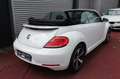 Volkswagen Beetle BEETLE CABRIO ALLSTAR BMT AUTOMATIK NAVI KLIMA Weiß - thumbnail 16