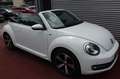Volkswagen Beetle BEETLE CABRIO ALLSTAR BMT AUTOMATIK NAVI KLIMA Weiß - thumbnail 20