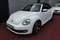 Volkswagen Beetle BEETLE CABRIO ALLSTAR BMT AUTOMATIK NAVI KLIMA Blanc - thumbnail 9