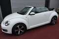 Volkswagen Beetle BEETLE CABRIO ALLSTAR BMT AUTOMATIK NAVI KLIMA Blanc - thumbnail 12