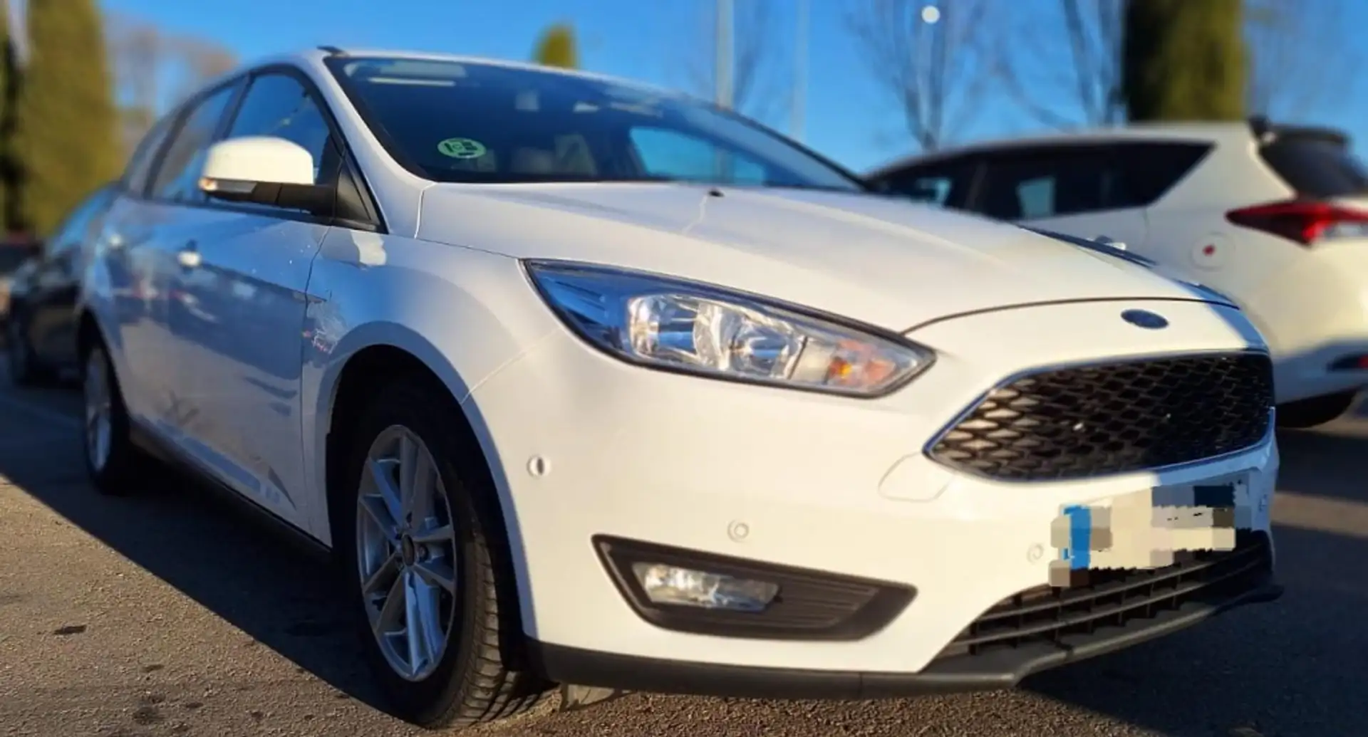 Ford Focus 1.5TDCi Business 120 Blanc - 1