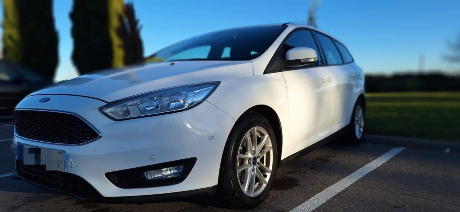 Ford Focus 1.5TDCi Business 120 Blanc - 2