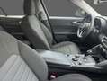 Alfa Romeo Giulia 2.2 Turbodiesel 160 CV AT8 Business Grau - thumbnail 3