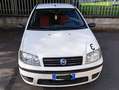 Fiat Punto Punto 5p 1.2 natural power Bianco - thumbnail 1