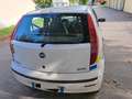 Fiat Punto Punto 5p 1.2 natural power Bianco - thumbnail 6
