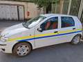 Fiat Punto Punto 5p 1.2 natural power Bianco - thumbnail 5