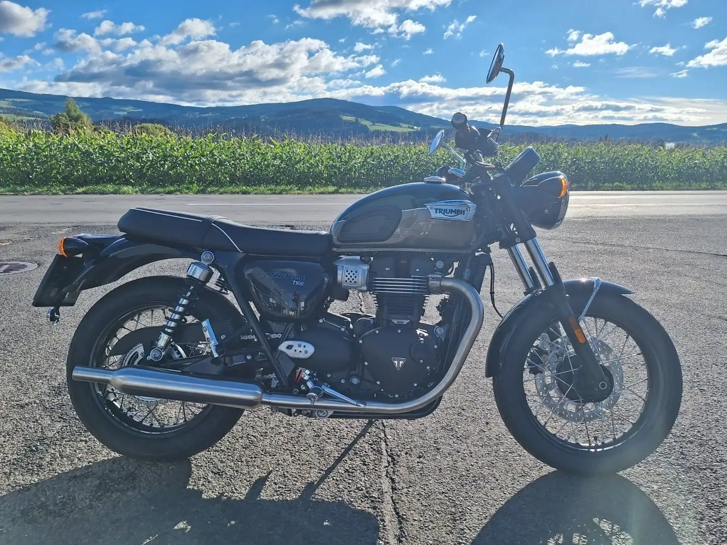 Triumph Bonneville T100 Vert - 1