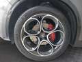 Alfa Romeo Stelvio Veloce 2.2 Jtdm 210PS Aut Awd Grau - thumbnail 13