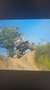 Nissan Patrol TRIAL OFFROAD PROTOTIPO DA GARA - thumbnail 11