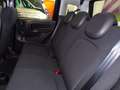 Fiat Panda Hybrid 1.0 firefly 70cv (KM. 12.639) Nero - thumbnail 14