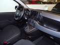 Fiat Panda Hybrid 1.0 firefly 70cv (KM. 12.639) Nero - thumbnail 13