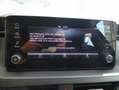 Skoda Kamiq Essence TSI Grau - thumbnail 15