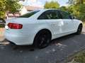 Audi A4 2.0 TDI DPF Ambition Weiß - thumbnail 4
