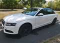 Audi A4 2.0 TDI DPF Ambition Weiß - thumbnail 10