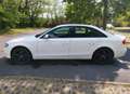 Audi A4 2.0 TDI DPF Ambition Weiß - thumbnail 9