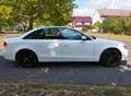 Audi A4 2.0 TDI DPF Ambition Weiß - thumbnail 2