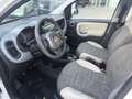 Fiat Panda Panda III 4x4 1.3 mjt 16v 4x4 75cv Blanc - thumbnail 9