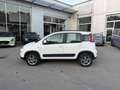 Fiat Panda Panda III 4x4 1.3 mjt 16v 4x4 75cv Blanc - thumbnail 2
