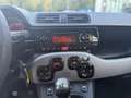 Fiat Panda Panda III 4x4 1.3 mjt 16v 4x4 75cv Blanc - thumbnail 12