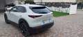 Mazda CX-30 2.0L e-Skyactiv-G 150 CV M Hybrid 2WD Homura Bianco - thumbnail 3