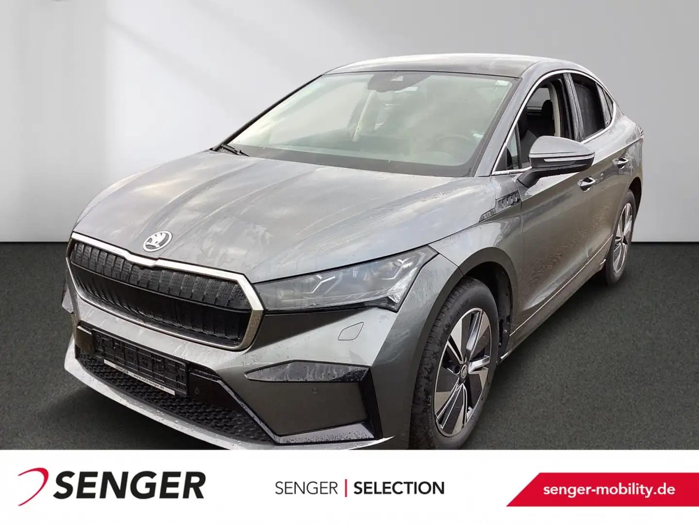 Skoda Enyaq 60 Nav Matrix PDC Pano Wärmep. Digicockpit Grijs - 1