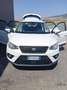 SEAT Arona Arona 2017 1.0 ecotsi Style 95cv Bianco - thumbnail 10