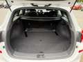 Hyundai i30 1.4 TGDI KAT Passion+*RFK*Navi*SHZ*Automatik Blanc - thumbnail 24