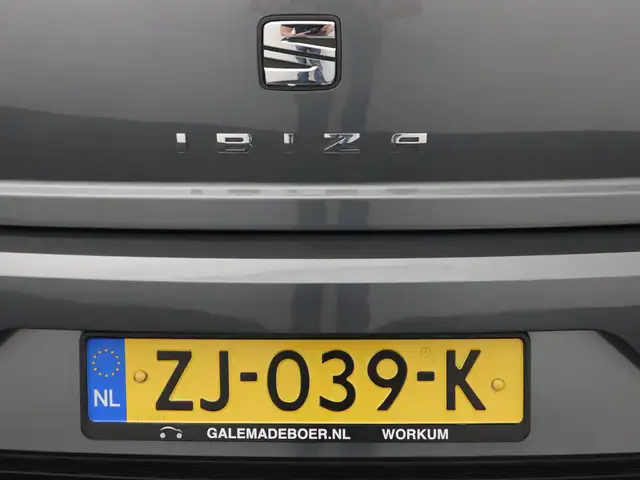 Seat Ibiza view 19