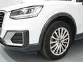 Audi Q2 30 TFSI Design 85kW Blanco - thumbnail 6