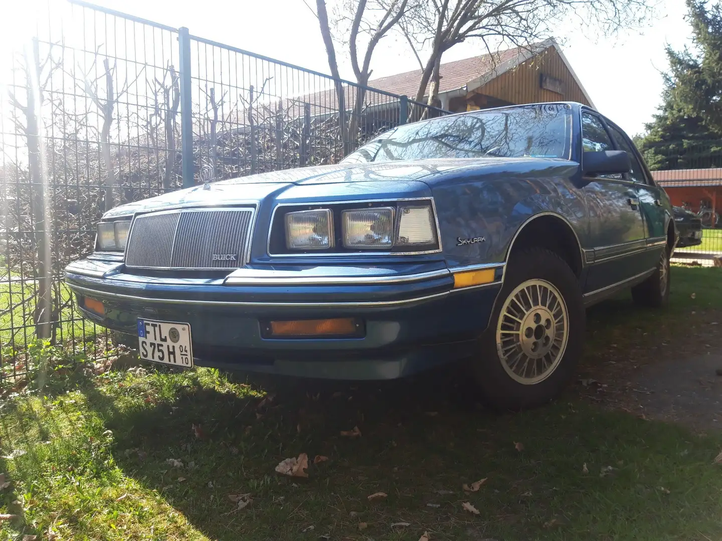 Buick Skylark Bleu - 1