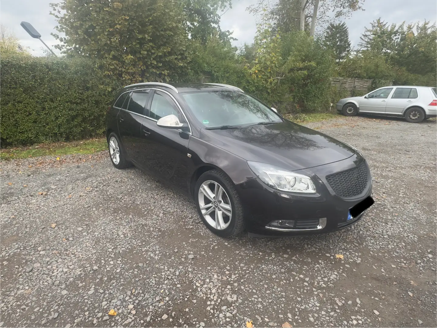 Opel Insignia 1.4 Turbo Sports Tourer ecoFLEXStart/Stop Sport Braun - 1