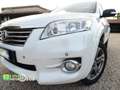 Toyota RAV 4 RAV4 Crossover 2.2 D-Cat A/T 150 CV Executive Bianco - thumbnail 14