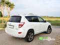 Toyota RAV 4 RAV4 Crossover 2.2 D-Cat A/T 150 CV Executive Bianco - thumbnail 6