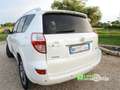 Toyota RAV 4 RAV4 Crossover 2.2 D-Cat A/T 150 CV Executive Bianco - thumbnail 4
