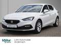 SEAT Leon 1.0 TSI Style RFK/LED/Full-Link Weiß - thumbnail 1
