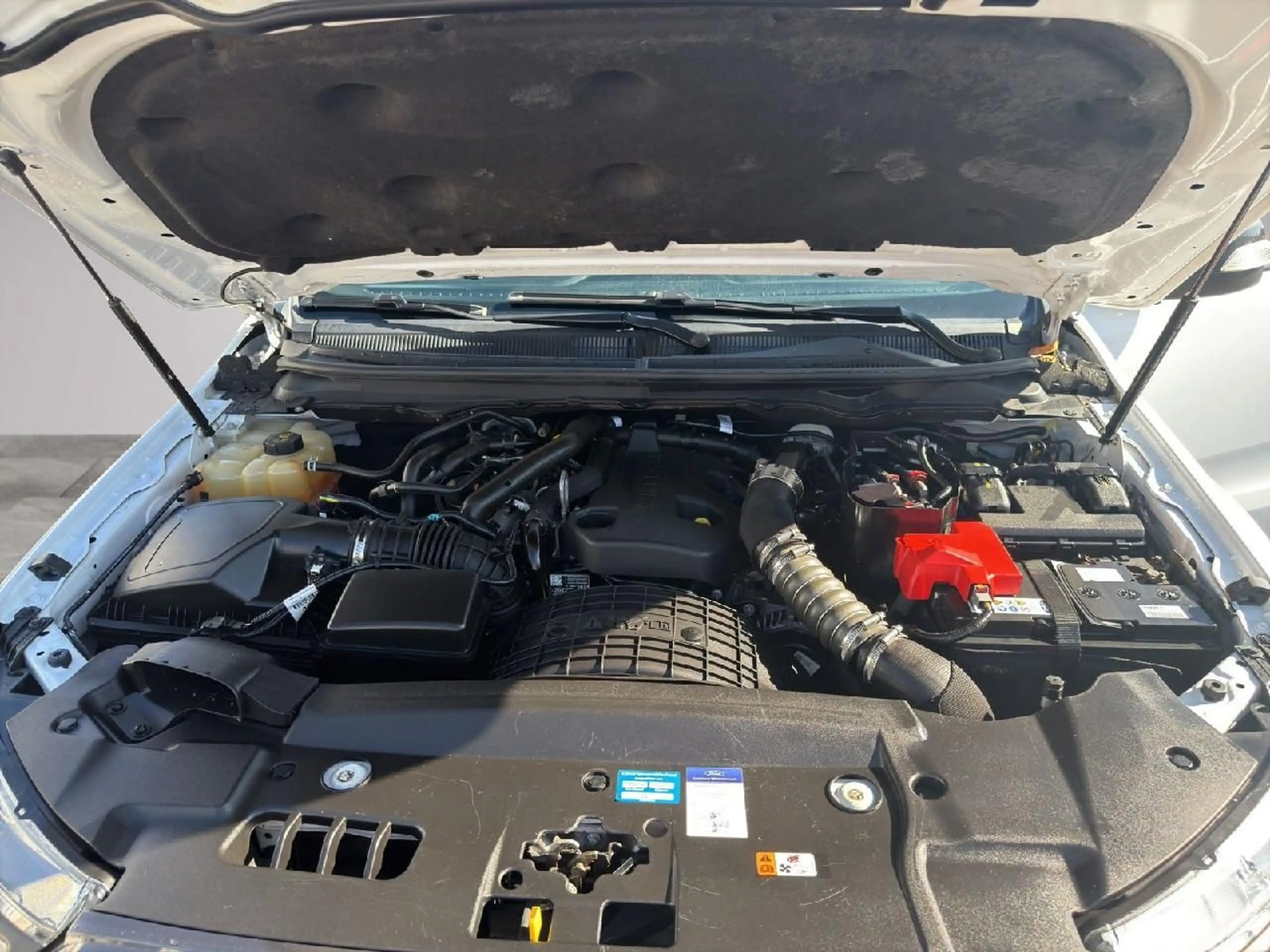 Ford Ranger WILDTRAK DK 4x4 | AHK | Rollo — photo 13