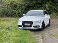 Audi A4 Attraction Weiß - thumbnail 3