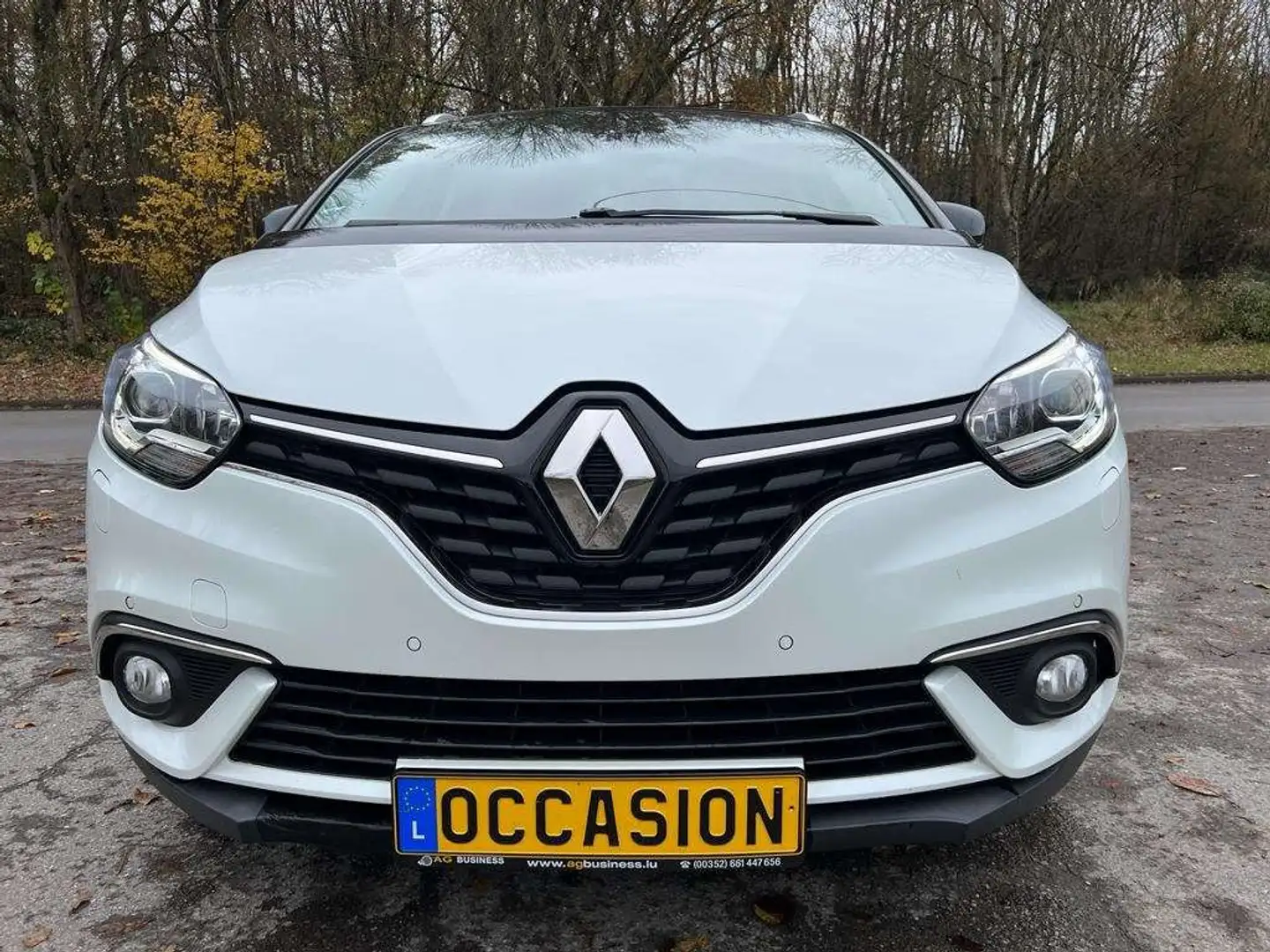 Renault Grand Scenic 1.33 TCe édition Limited  Navi Jante Clim Wit - 2