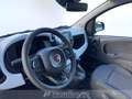 Fiat Panda pandina 1.0 firefly hybrid s&s 70cv Grün - thumbnail 10