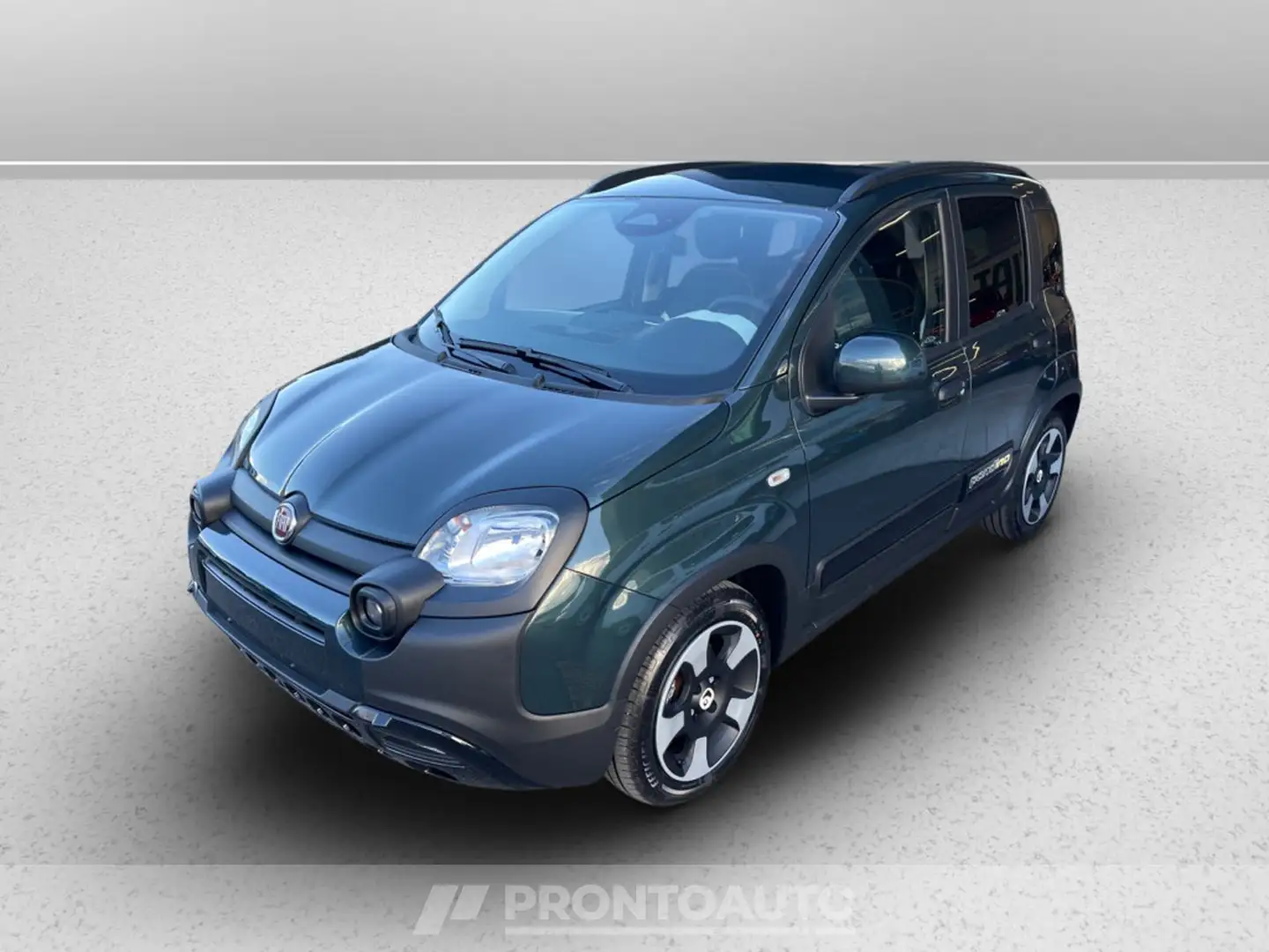 Fiat Panda pandina 1.0 firefly hybrid s&s 70cv Grün - 1