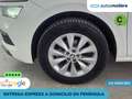 Skoda Kamiq 1.0 TSI Ambition 81kW DSG Weiß - thumbnail 31