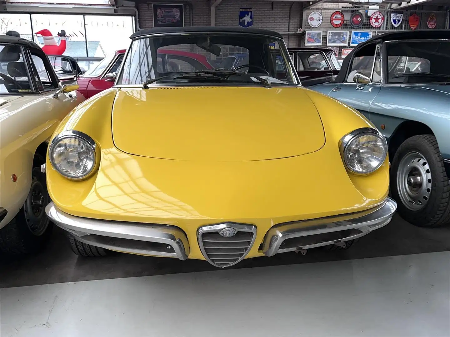 Alfa Romeo Spider Duetto 1750 Żółty - 2
