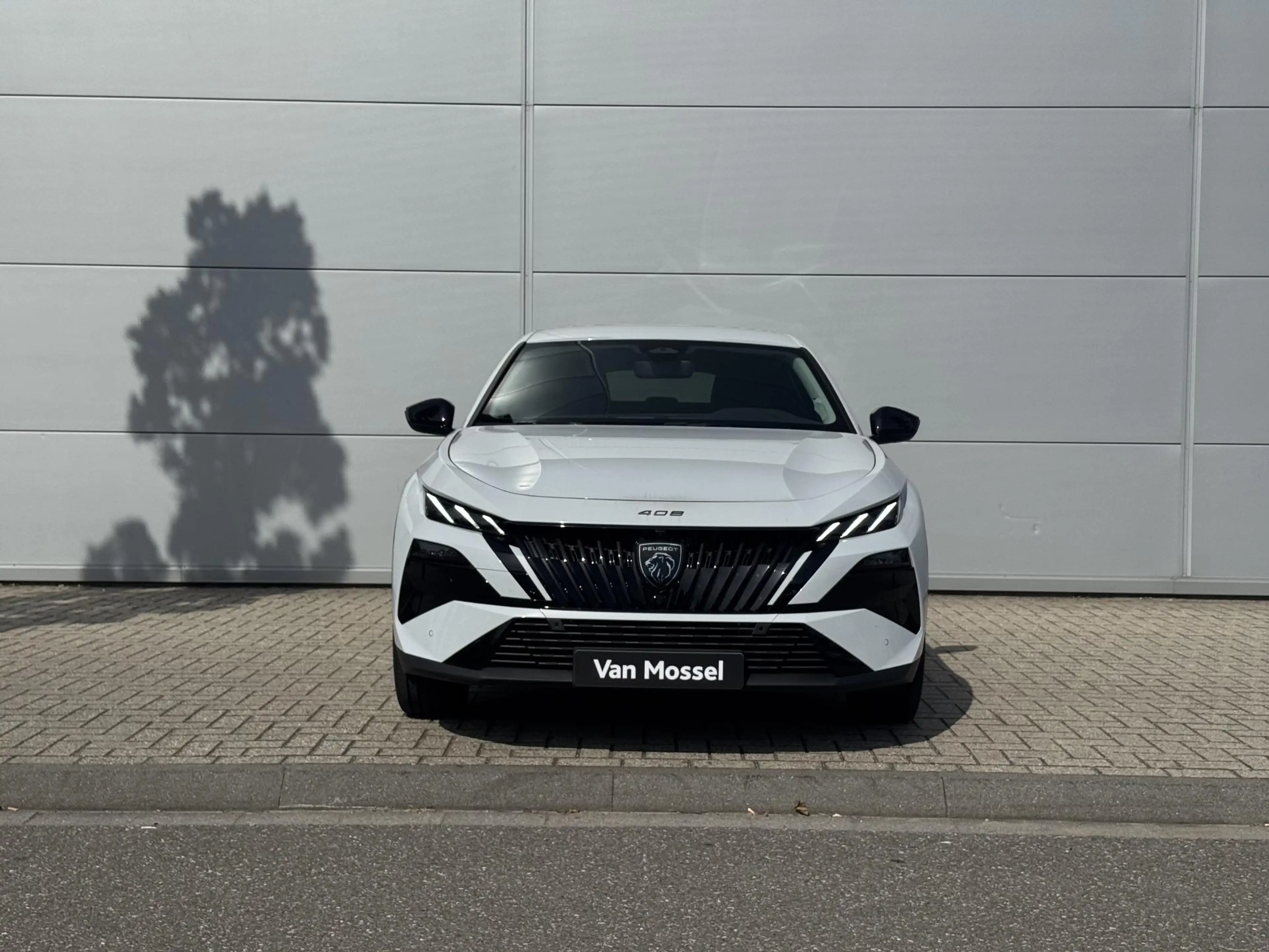 Peugeot 408 1.2 Allure Hybrid 145 | 360 camera | Adaptieve Cru — photo 9