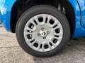 Fiat Panda 1.0 Hybrid Blau - thumbnail 15