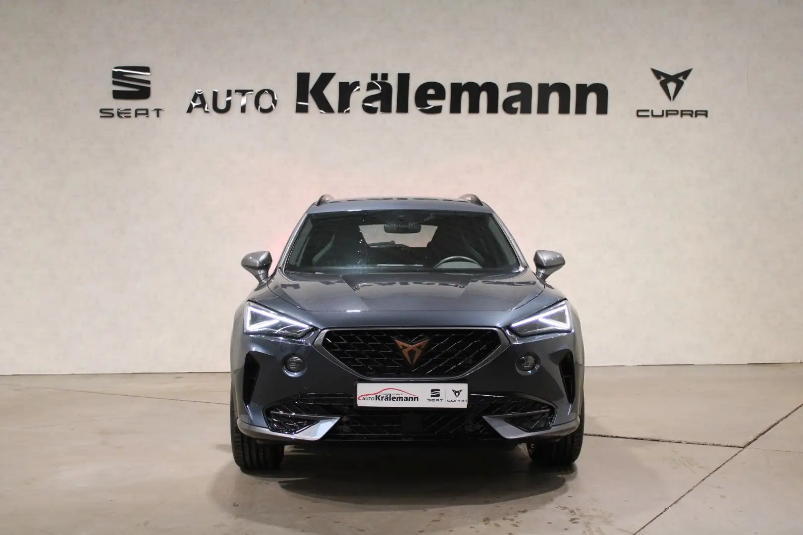 CUPRA Formentor 1.5 TSI DSG*Navi*Kamera*El.Heck*E-Sitz Grau - 2