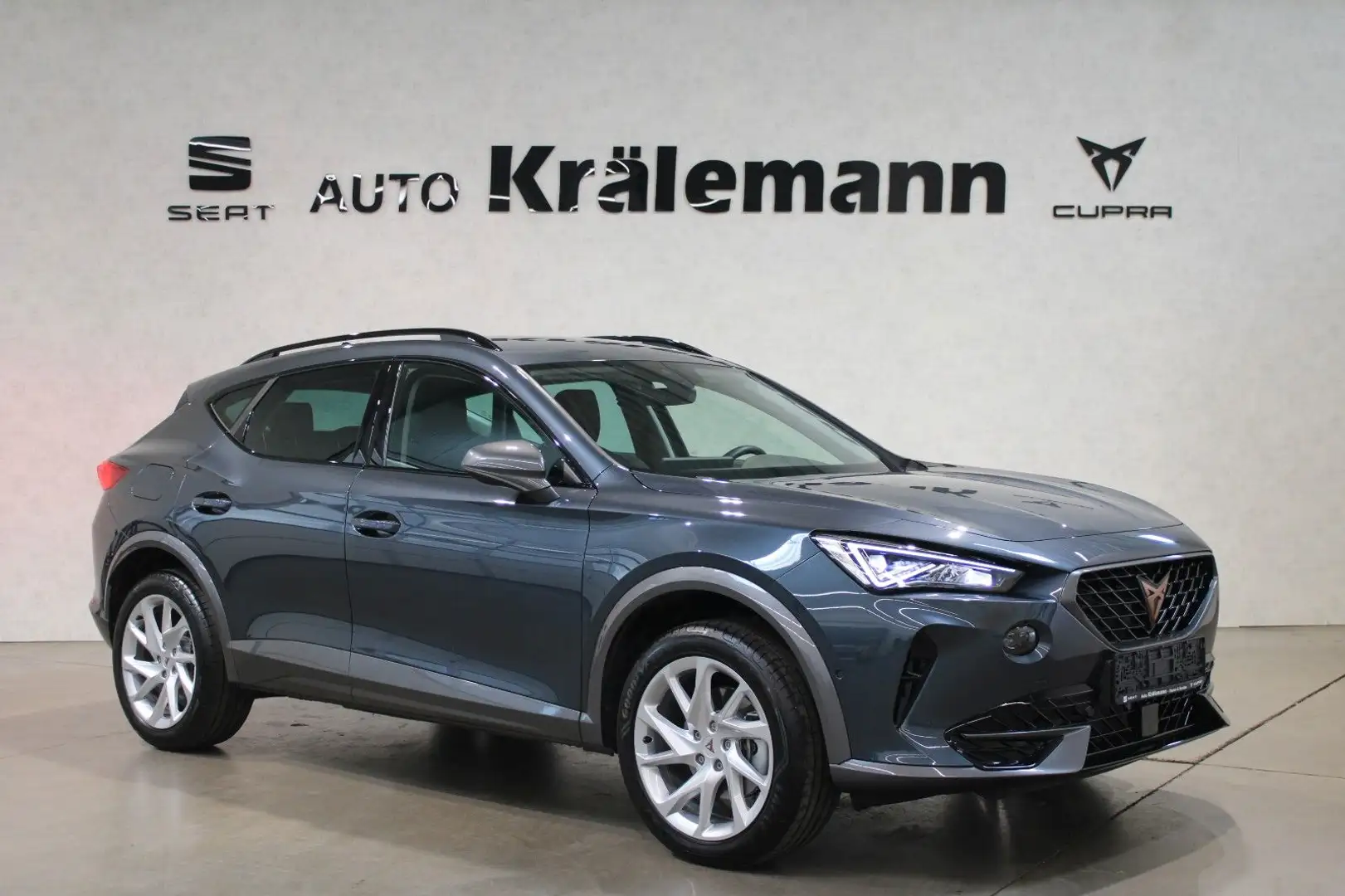 CUPRA Formentor 1.5 TSI 7-Gang-DSG*Navi*Kamera*El.Heck Grau - 1