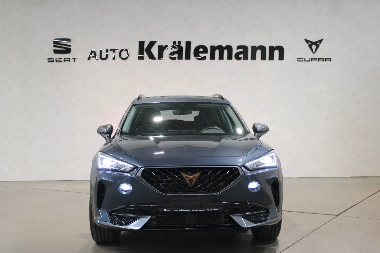CUPRA Formentor 1.5 TSI 7-Gang-DSG*Navi*Kamera*El.Heck Grau - 2