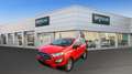 Ford EcoSport 1.0 EcoBoost 100 CV Plus Rosso - thumbnail 21