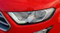 Ford EcoSport 1.0 EcoBoost 100 CV Plus Rosso - thumbnail 13