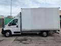 Opel Movano 35 HEAVY L3 2.2 BLUEHDI BOX CON SPONDA 3 PTI-2022 Blanc - thumbnail 6